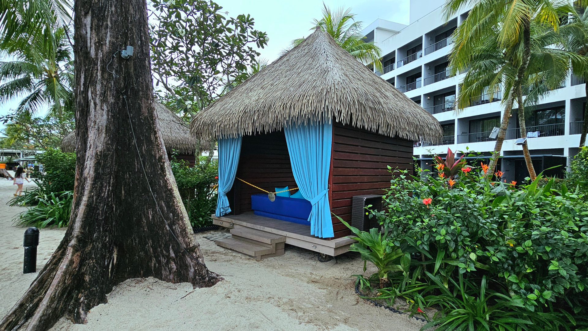 Custom Window Treatments